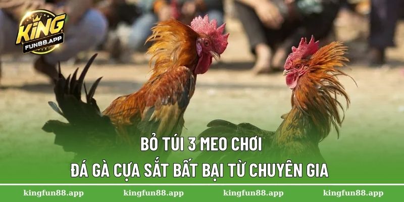 Đá Gà Cựa Sắt – Sân Chơi Cá Cược Hấp Dẫn Hàng Đầu Châu Á 3 Bỏ túi 3 meo chơi đá gà cựa sắt bất bại từ chuyên gia