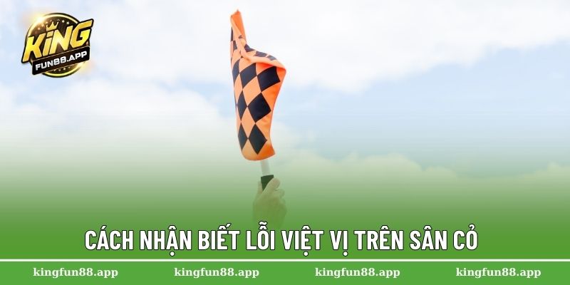 Lỗi Việt Vị - Nguyên Nhân Và Cách Nhận Diện Trong Trận Đấu 3 Cách nhận biết lỗi việt vị trên sân cỏ