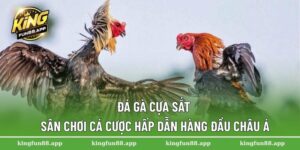 đá gà cựa sắt