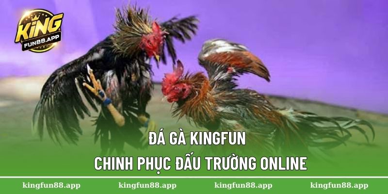 Đá gà Kingfun - Chinh phục đấu trường online