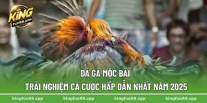 Đá gà Mộc
