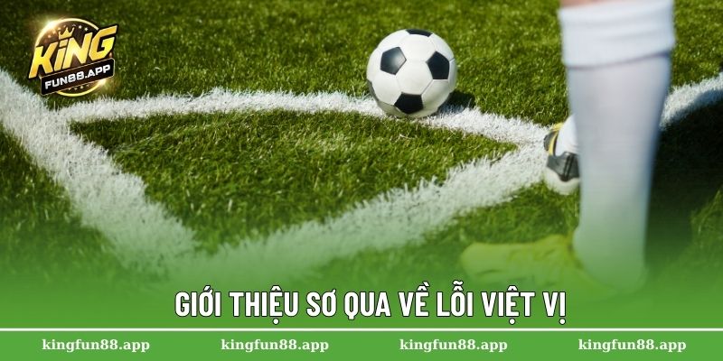 Lỗi Việt Vị - Nguyên Nhân Và Cách Nhận Diện Trong Trận Đấu 1 Giới thiệu sơ qua về lỗi việt vị