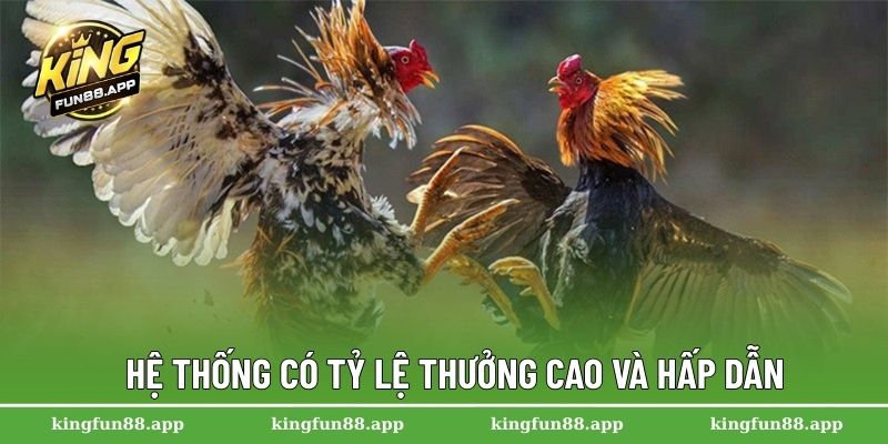 Hệ thống có tỷ lệ thưởng cao và hấp dẫn
