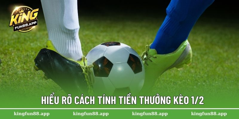 Kèo 1/2 – Hướng Dẫn Đọc Chuẩn Xác Cho Người Mới Tham Gia 2 Hiểu rõ cách tính tiền thưởng kèo 1/2