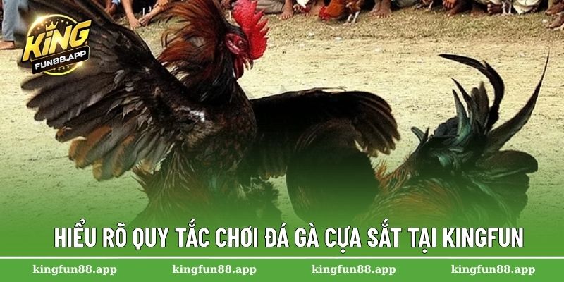 Đá Gà Cựa Sắt – Sân Chơi Cá Cược Hấp Dẫn Hàng Đầu Châu Á 2 Hiểu rõ quy tắc chơi đá gà cựa sắt tại Kingfun