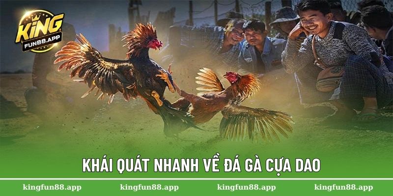 Đá Gà Cựa Dao – Bộ Môn Giải Trí Hấp Dẫn Nhất Tại Kingfun 1 Khái quát nhanh về đá gà cựa dao
