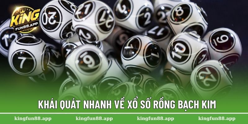 Xổ Số Rồng Bạch Kim – Chiến Lược Soi Cầu Chính Xác Hàng Ngày 1 Khái quát nhanh về xổ số rồng bạch kim