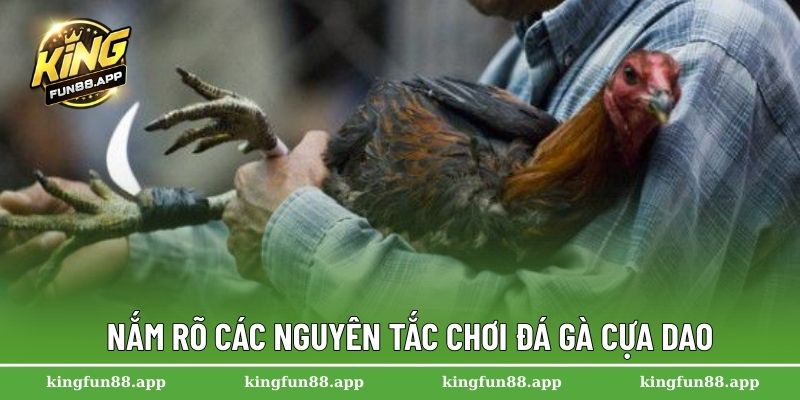 Đá Gà Cựa Dao – Bộ Môn Giải Trí Hấp Dẫn Nhất Tại Kingfun 2 Nắm rõ các nguyên tắc chơi đá gà cựa dao