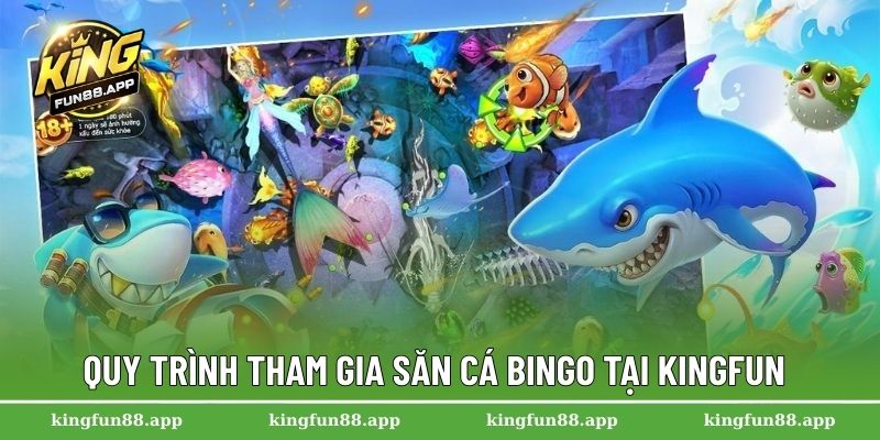 Bắn Cá Bingo – Ngư Trường Thưởng Lớn Dành Cho Tín Đồ Giải Trí 3 Quy trình tham gia săn cá BIngo tại Kingfun