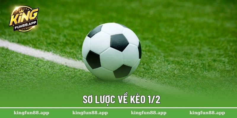 Kèo 1/2 – Hướng Dẫn Đọc Chuẩn Xác Cho Người Mới Tham Gia 1 Sơ lược về kèo 1/2