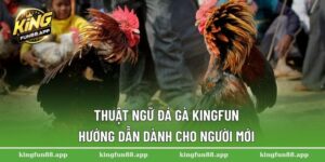 Thuật Ngữ Đá Gà