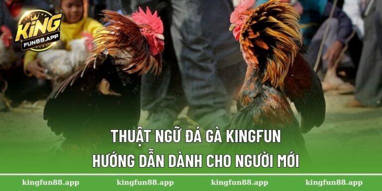 Thuật Ngữ Đá Gà