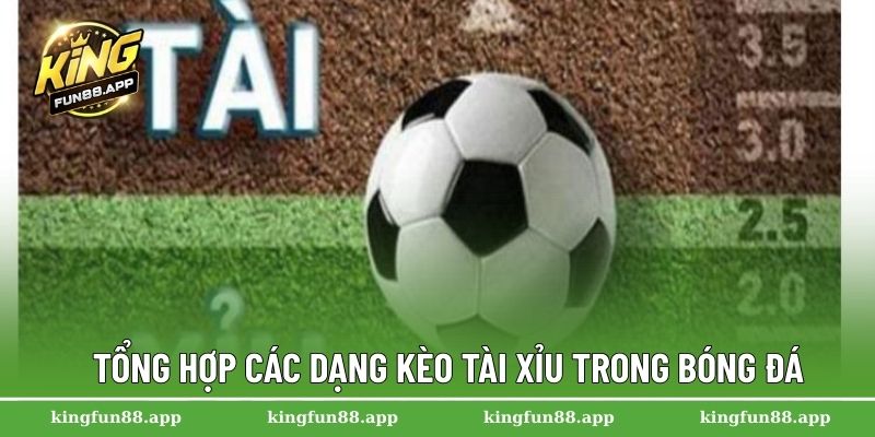 Bí Quyết Hiểu Kèo Tài Xỉu Bóng Đá Chính Xác Cho Tân Thủ 2 Tổng hợp các dạng kèo tài xỉu trong bóng đá