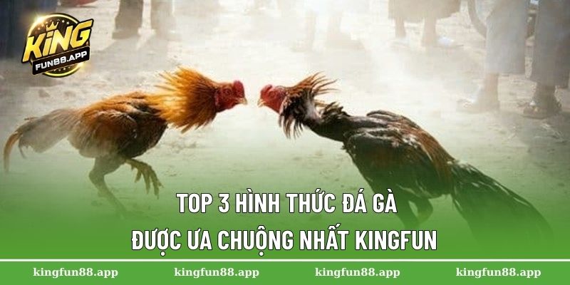 Top 3 hình thức đá gà được ưa chuộng nhất Kingfun