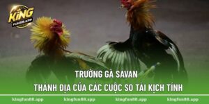 Trường gà Savan