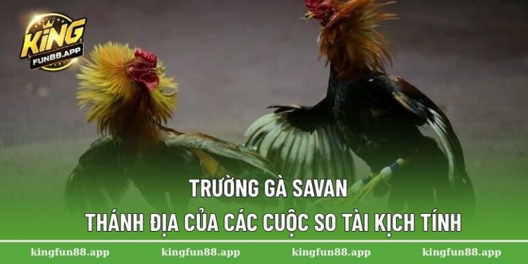 Trường gà Savan